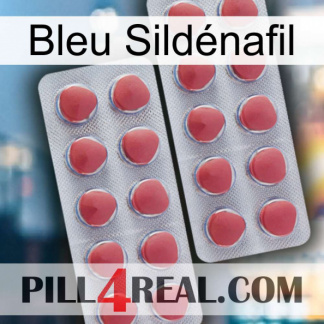 Bleu Sildénafil 19
